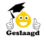 Geslaagd Stickers