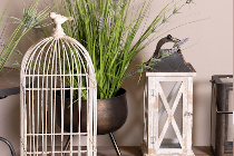 Vogelhuisjes & Kooien