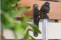 Temperatuur- & Regenmeters