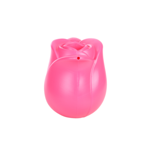 Gieter tulp licht roze | Bedankt dat u mij hielp groeien | Juf & Meester Cadeau 2