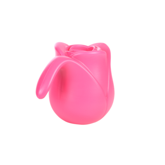 Gieter tulp licht roze | Bedankt dat u mij hielp groeien | Juf & Meester Cadeau 3