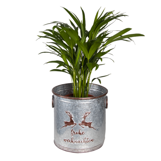 Clayre & Eef | Bloempotten Binnen Set van 3 Grijs ø 33x31 / ø 30x29 / ø 27x27 cm | 6Y4452