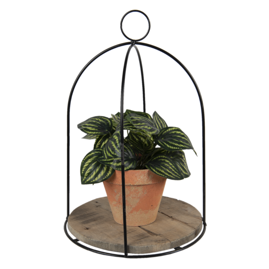 Planthouder ø 28*41 cm Bruin | 64944 | Clayre & Eef 2
