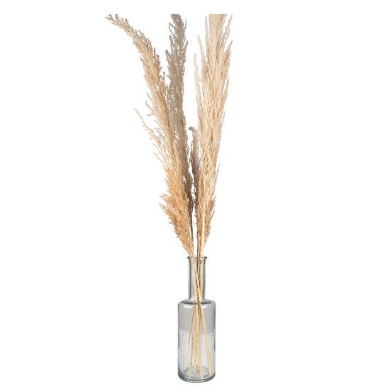 Clayre & Eef | Vazen glas Transparant ø 11x34 cm | 6GL4271