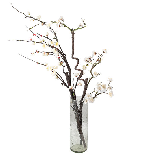 Clayre & Eef | Vazen glas Transparant ø 10x30 cm | 6GL4297