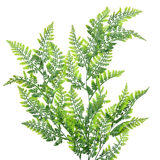 Clayre & Eef | Decoratie tak Groen 15x5x80 cm | 5PL0071