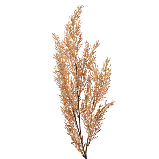 Clayre & Eef | Decoratie tak Beige 10x4x75 cm | 5PL0053