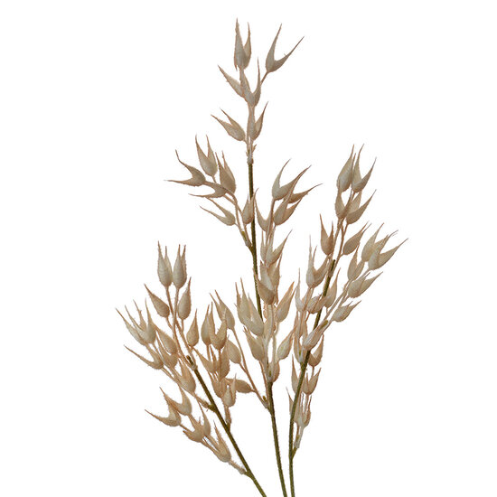 Clayre & Eef | Decoratie Tak Beige Bruin 15x2x72 cm | 5PL0061