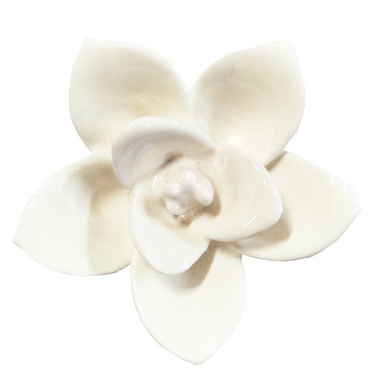 Clayre & Eef | Deurknop Bloem Beige ø 5x4 cm | 61916