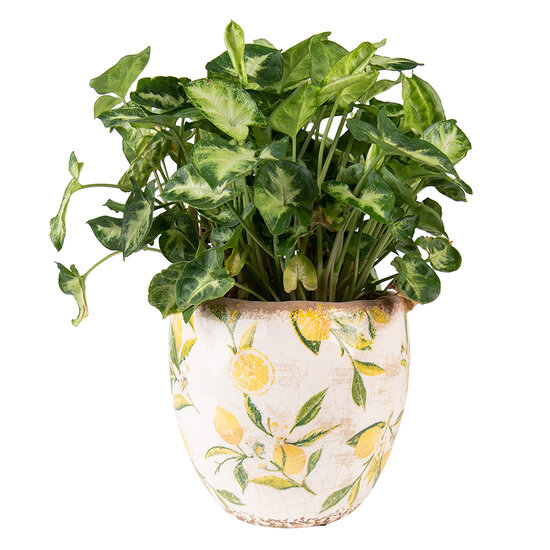 Clayre & Eef | Bloempot Binnen Geel, Beige ø 18x17 cm | 6CE1529M
