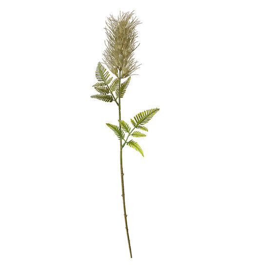 Clayre & Eef | Decoratie tak Groen 5x5x60 cm | 6PL0257