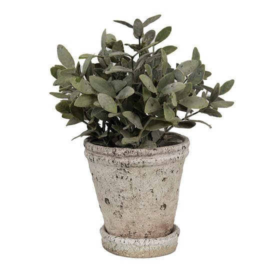 Clayre & Eef | Bloempot Binnen Beige ø 13x14 cm | 6TE0503L