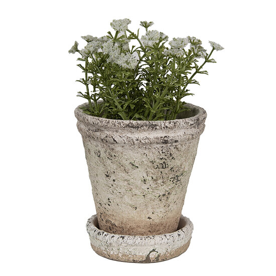 Clayre & Eef | Bloempot Binnen Beige ø 11x12 cm | 6TE0503M