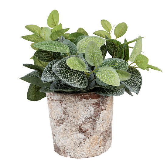 Clayre & Eef | Bloempot Binnen Beige ø 18x15 cm | 6TE0523M