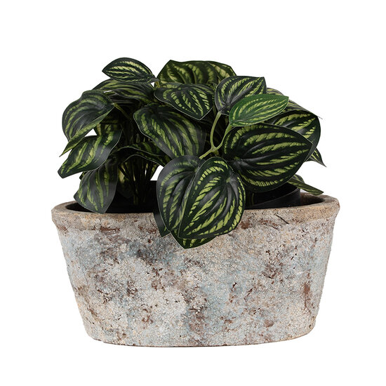 Clayre & Eef | Bloempot Binnen Beige 26x13x12 cm | 6TE0528L