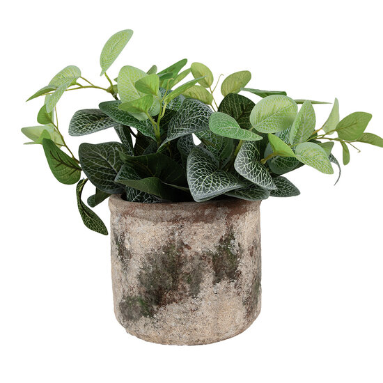 Clayre & Eef | Bloempot Binnen Beige Groen ø 14x12 cm | 6TE0516M