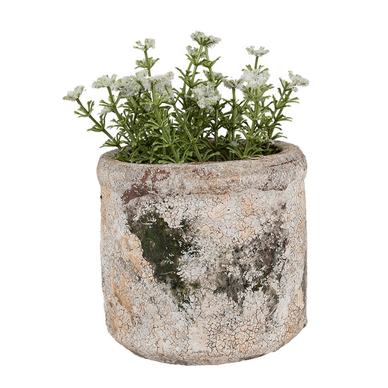 Clayre & Eef | Bloempot Binnen Beige Groen ø 12x11 cm | 6TE0516S