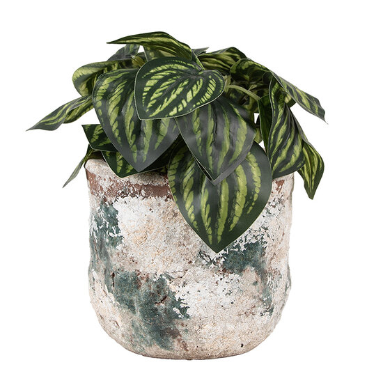 Clayre & Eef | Bloempot Binnen Beige Groen ø 14x12 cm | 6TE0530M