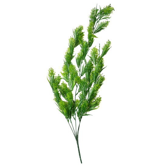 Clayre & Eef | Decoratie tak Groen 8x8x75 cm | 5PL0090