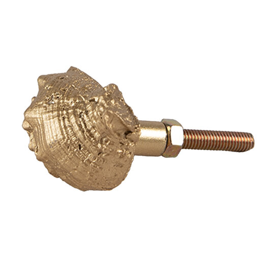 Clayre & Eef | Deurknop Goudkleurig 4x3x3 cm / S2 cm | 65744