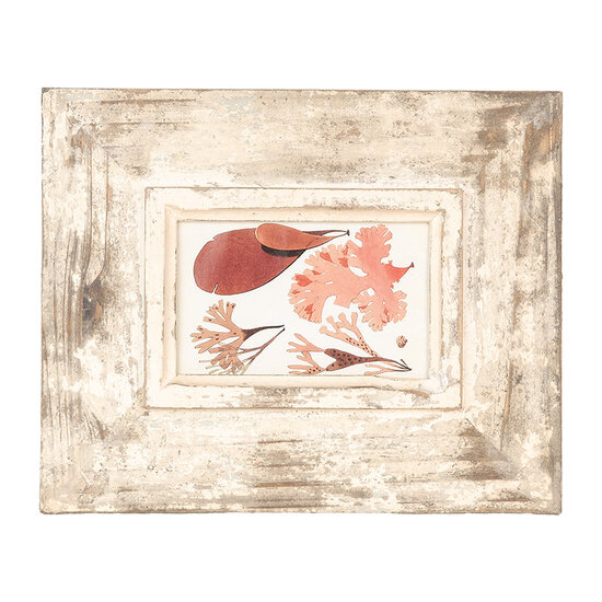 Clayre & Eef | Fotolijst Beige 24x3x29 cm / 10x15 cm | 2F1098