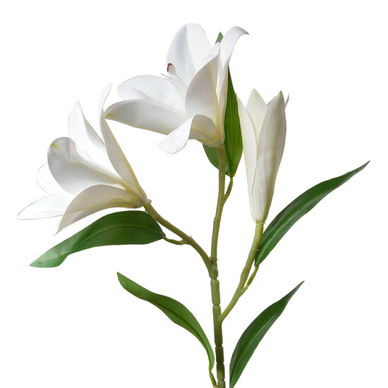 Clayre & Eef | Decoratie tak met bloemen Wit Groen 17x12x71 cm | 5PL0119W