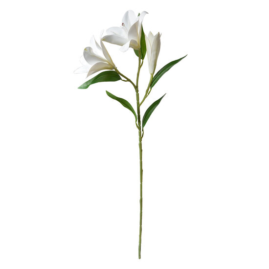 Clayre & Eef | Decoratie tak met bloemen Wit Groen 17x12x71 cm | 5PL0119W