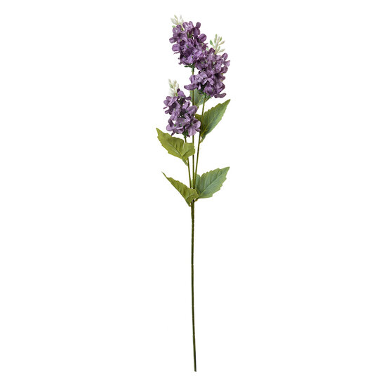 Clayre & Eef | Decoratie tak met bloemen Paars Groen 12x5x71 cm | 6PL0338PA