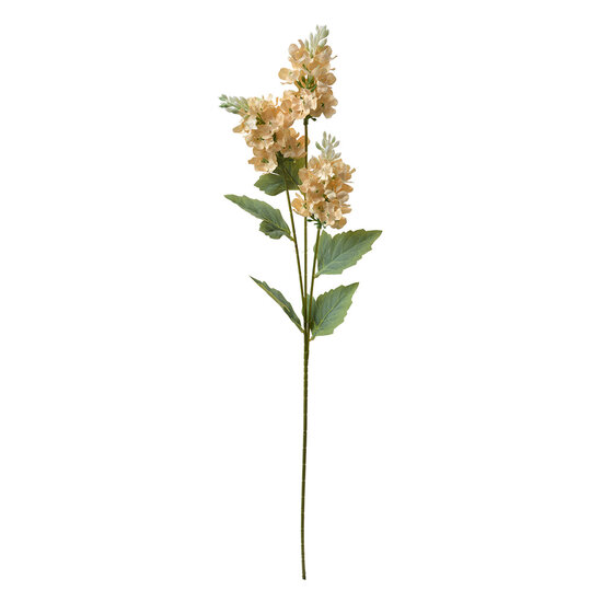Clayre & Eef | Decoratie tak met bloemen Beige Groen 12x5x71 cm | 6PL0338W
