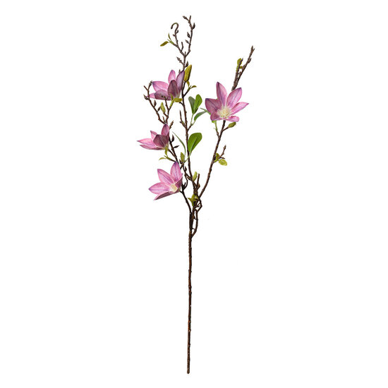 Clayre & Eef | Decoratie tak met bloemen Roze Groen 15x7x84 cm | 5PL0129P