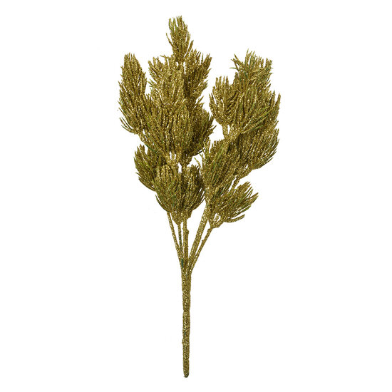 Clayre & Eef | Kerstdecoratie Tak Goudkleurig 10x8x30 cm | 65802