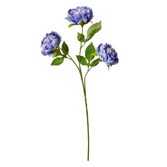 Clayre &amp; Eef   | Decoratie tak met bloemen Paars Groen 12x8x80 cm | 5PL0166BL