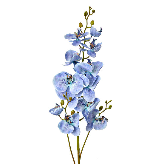 Clayre &amp; Eef   | Decoratie tak met bloemen Blauw Groen 15x8x116 cm | 5PL0170BL