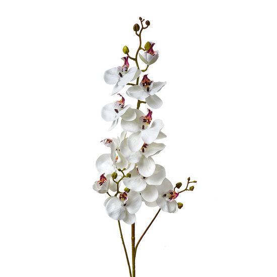 Clayre &amp; Eef   | Decoratie tak met bloemen Wit Groen 15x8x116 cm | 5PL0170W