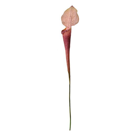Clayre & Eef | Kunstbloem Paars Groen 6x5x75 cm | 5PL0188