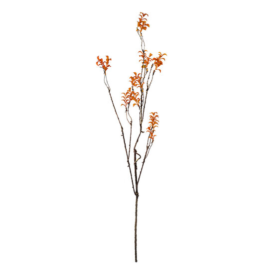 Clayre &amp; Eef   | Decoratie Tak Oranje Bruin 18x5x110 cm | 5PL0184
