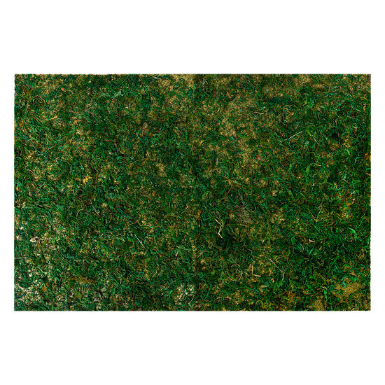 Clayre &amp; Eef   | Mosmat Groen 60x40x1 cm | 66121