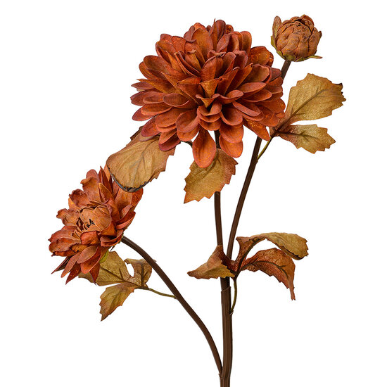 Clayre &amp; Eef   | Kunstbloem Bruin 10x10x66 cm | 6PL0387CH