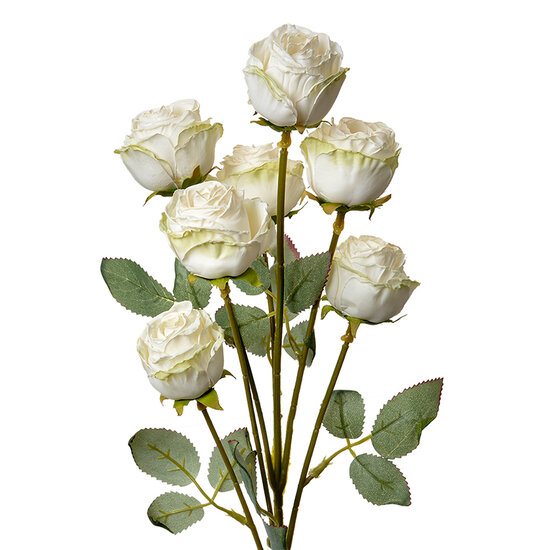 Clayre &amp; Eef   | Decoratie tak met bloemen Wit Groen 8x8x55 cm | 6PL0391W