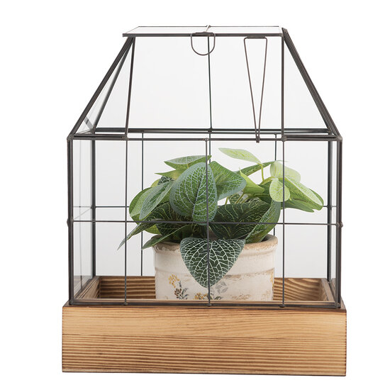 Clayre &amp; Eef   | Decoratie Kweekkasje Transparant Bruin 26x17x32 cm | 6GL5363