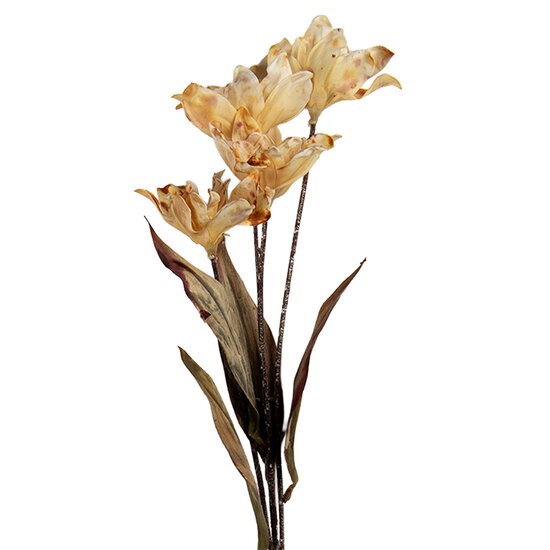 Clayre & Eef | Decoratie tak met bloemen Bruin Groen 8x5x60 cm | 6PL0403BE