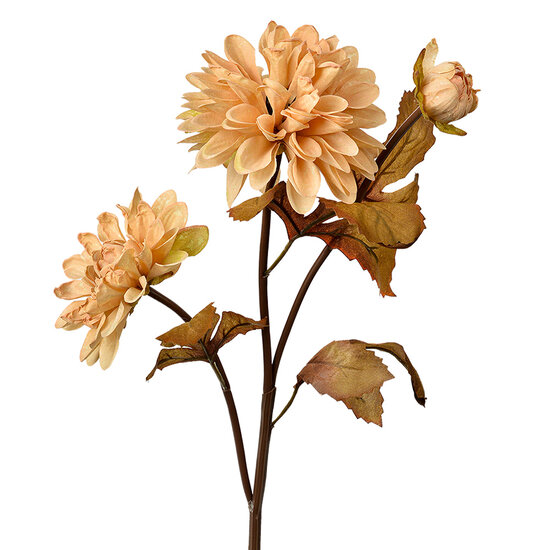 Clayre &amp; Eef   | Kunstbloem Beige Bruin 10x10x66 cm | 6PL0387BE