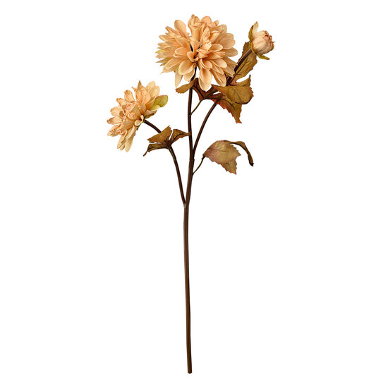 Clayre &amp; Eef   | Kunstbloem Beige Bruin 10x10x66 cm | 6PL0387BE