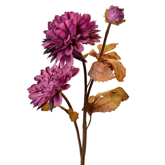 Clayre &amp; Eef   | Kunstbloem Paars Bruin 10x10x66 cm | 6PL0387PA