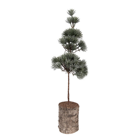 Clayre &amp; Eef   | Decoratie Boom Groen Bruin 14x14x45 cm | 66433