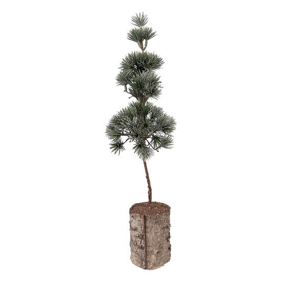 Clayre &amp; Eef   | Decoratie Boom Groen Bruin 14x14x45 cm | 66433