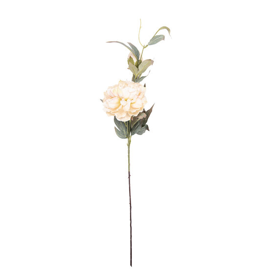 Clayre &amp; Eef   | Decoratie tak met bloemen Beige Groen 14x14x78 cm | 5PL0244BE