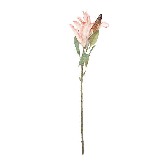 Clayre &amp; Eef   | Decoratie tak met bloemen Roze Groen 12x16x88 cm | 5PL0252P
