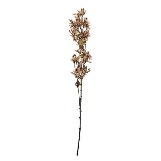 Clayre &amp; Eef   | Decoratie tak met bloemen Beige Groen 10x10x95 cm | 5PL0265W