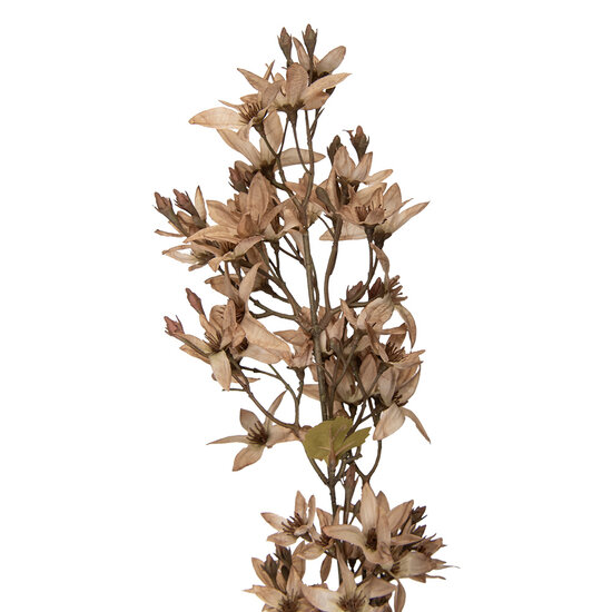 Clayre &amp; Eef   | Decoratie tak met bloemen Beige Groen 10x10x95 cm | 5PL0265W